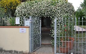 La Casa Di Fiorella