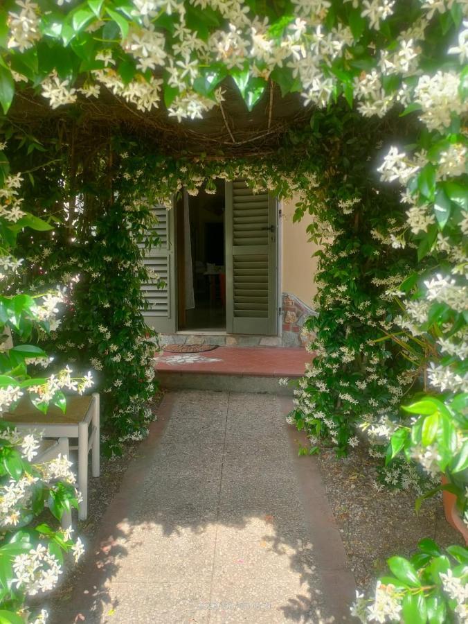 La Casa Di Fiorella Cerreto Guidi Exteriér fotografie